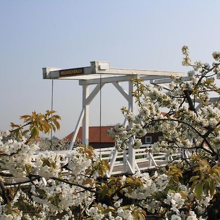 GrünendeichFewo Elbblick Im Haus Luehegartenアパートメント エクステリア 写真