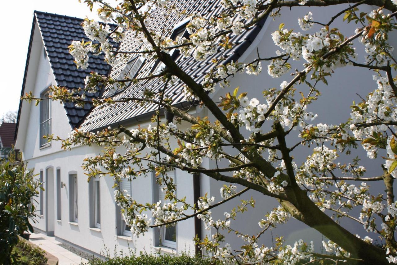 GrünendeichFewo Elbblick Im Haus Luehegartenアパートメント エクステリア 写真