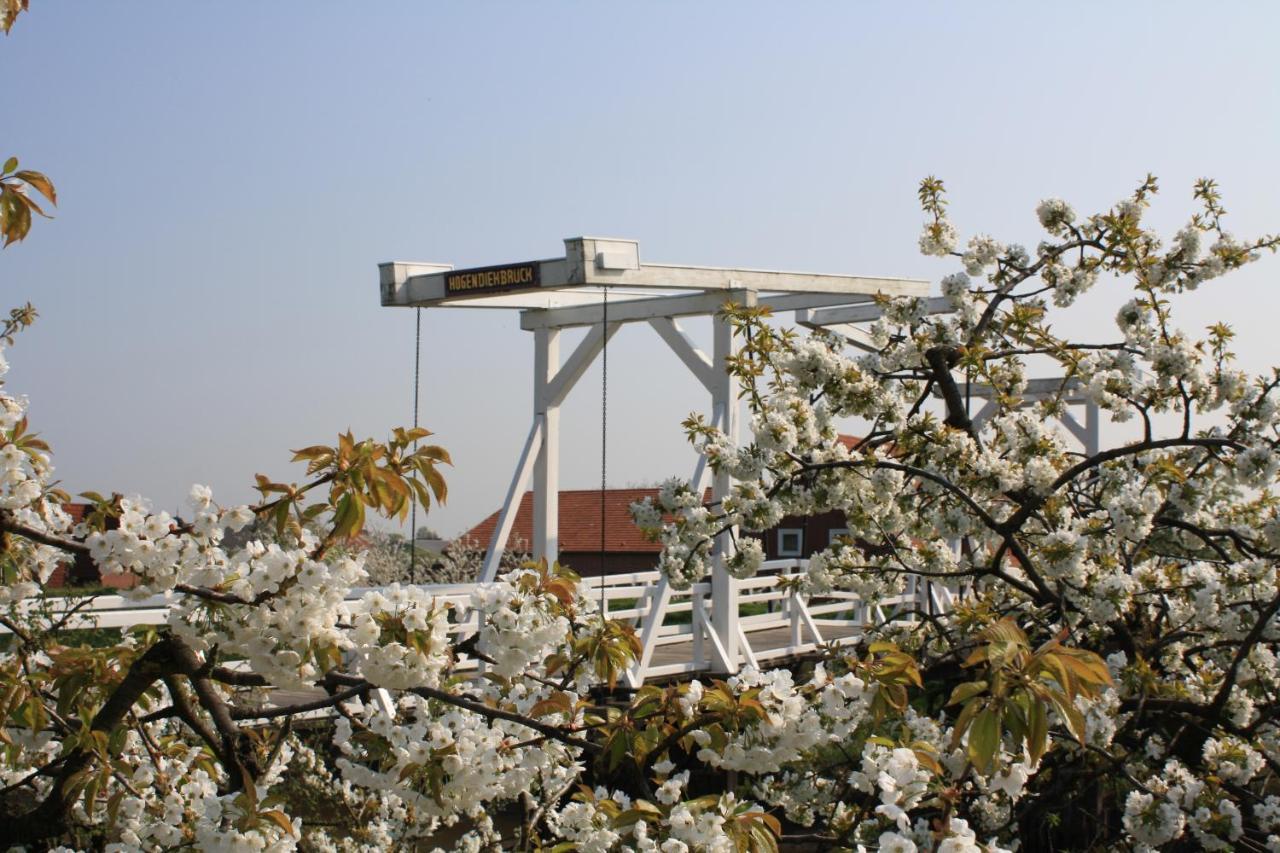 GrünendeichFewo Elbblick Im Haus Luehegartenアパートメント エクステリア 写真