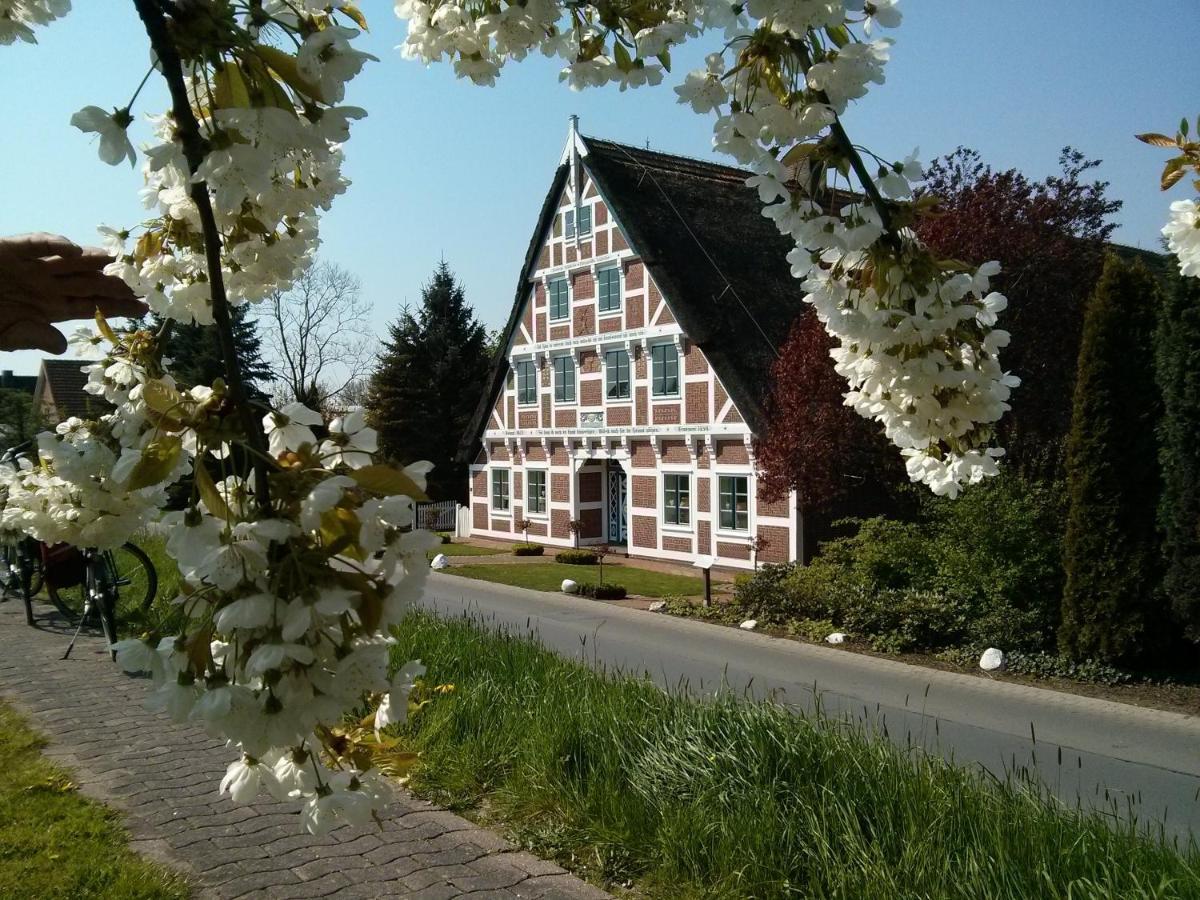 GrünendeichFewo Elbblick Im Haus Luehegartenアパートメント エクステリア 写真