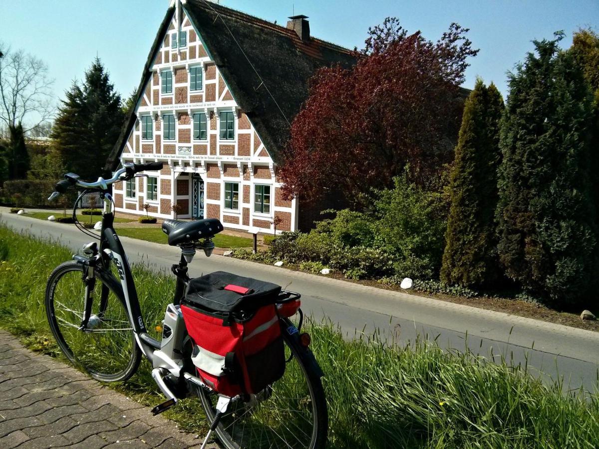 GrünendeichFewo Elbblick Im Haus Luehegartenアパートメント エクステリア 写真