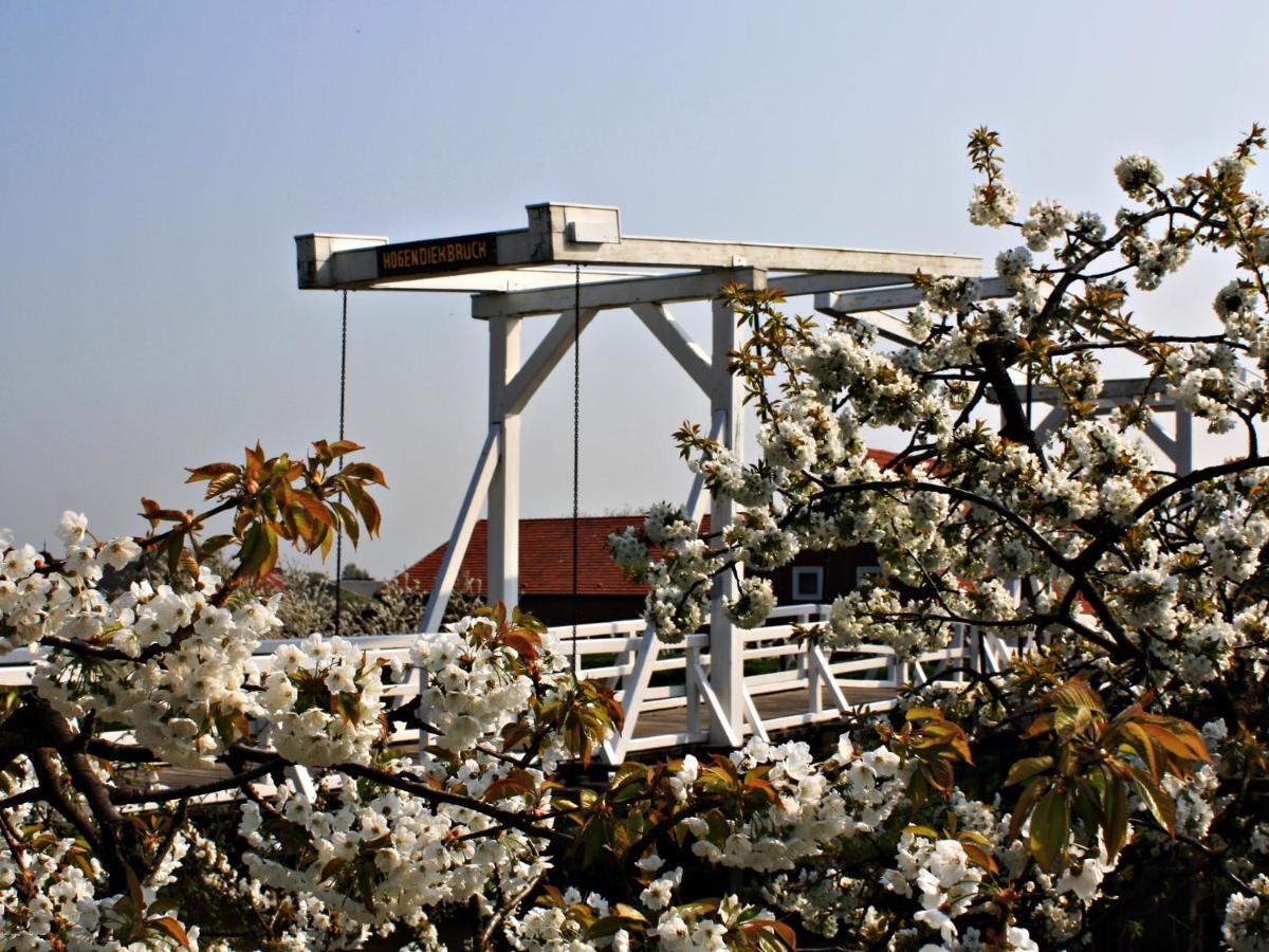 GrünendeichFewo Elbblick Im Haus Luehegartenアパートメント エクステリア 写真